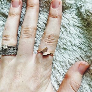 Rose Gold Butterfly Collection